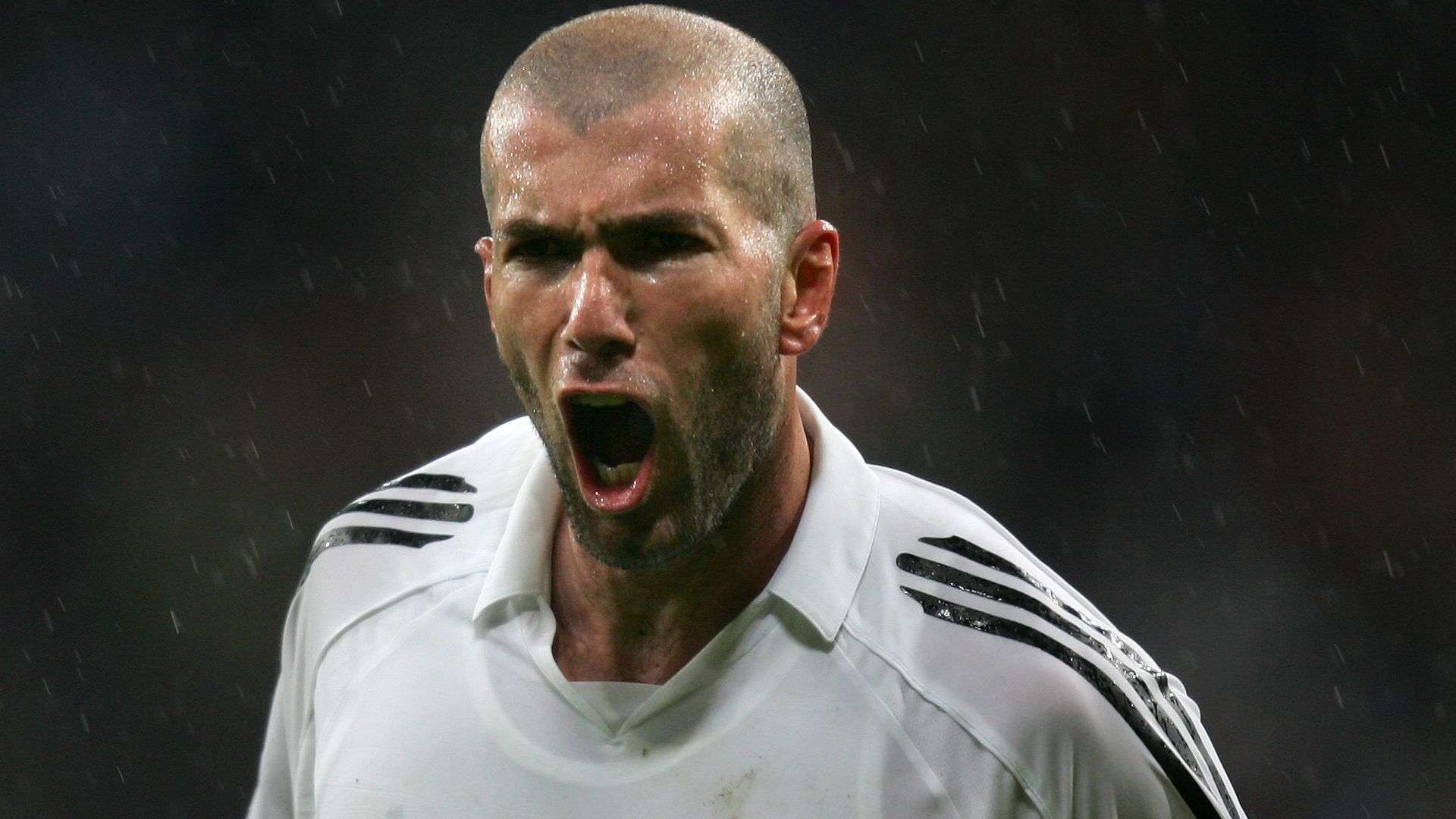 着既定目标 着既定目标