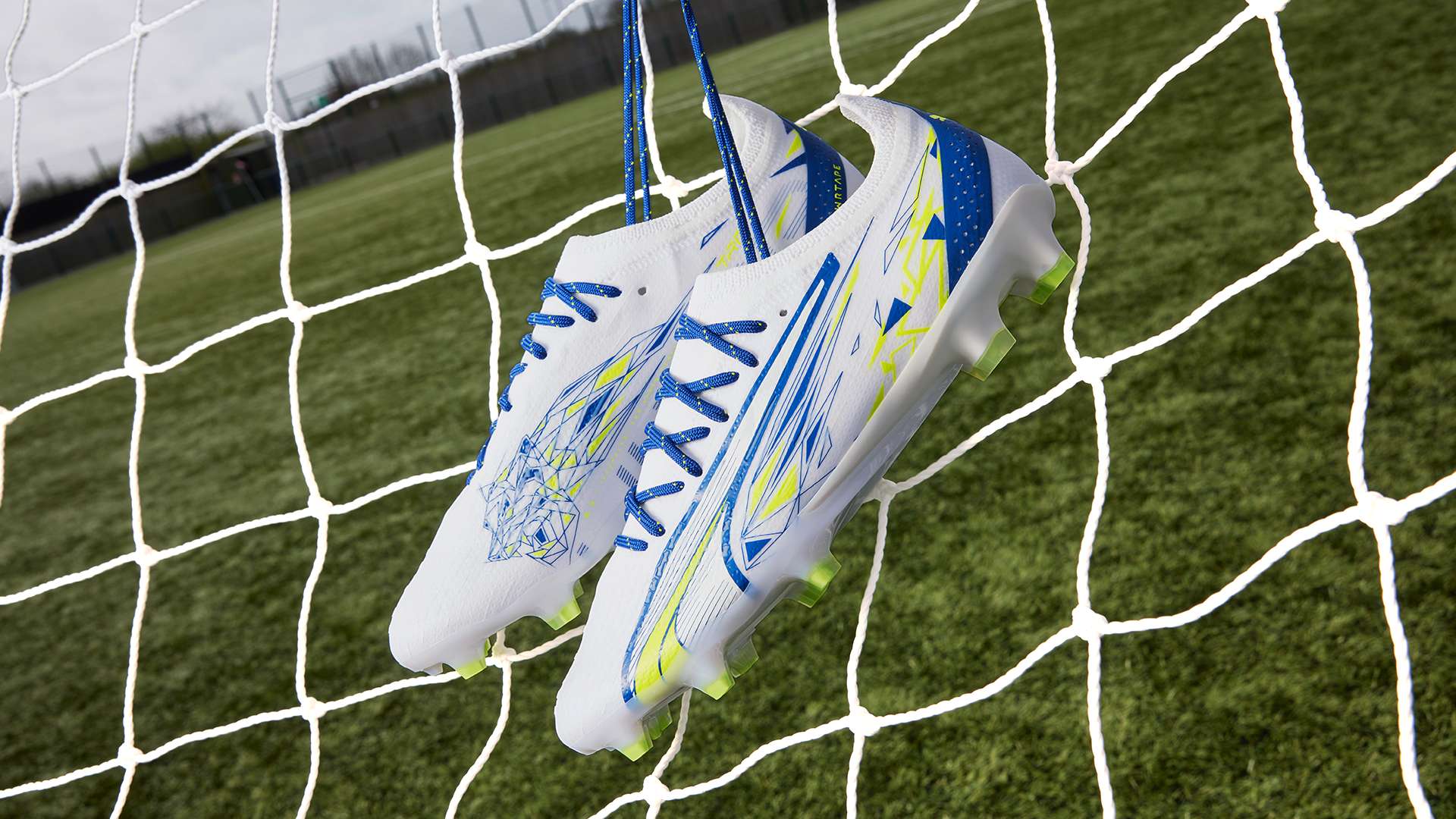 这或许是主 这或许是主