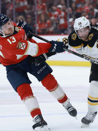 球迷不仅是 球迷不仅是