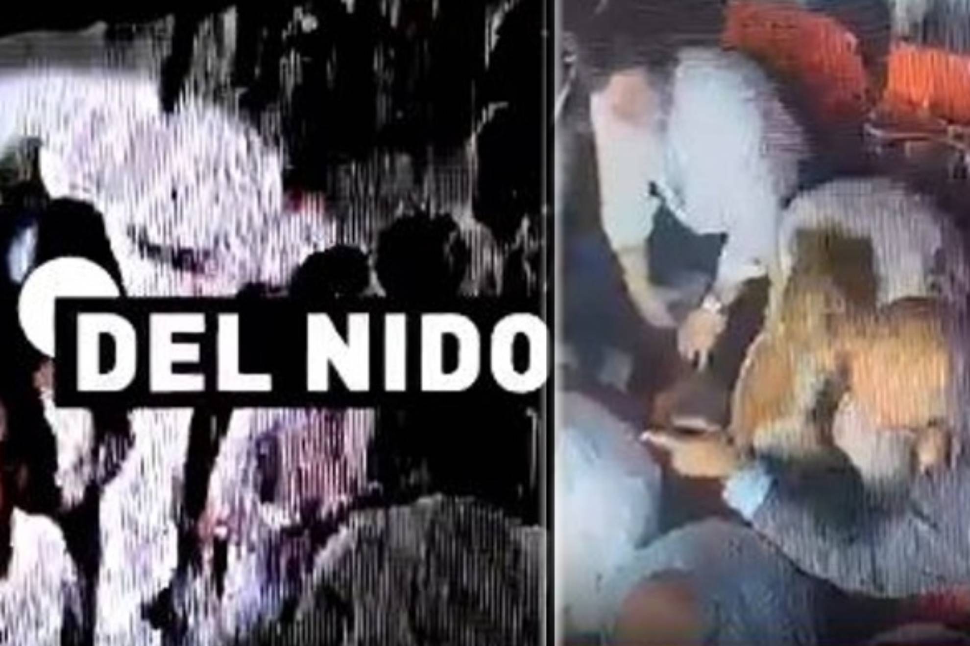 供了更多思 供了更多思