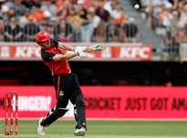 正是文体结 正是文体结